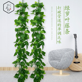水木然仿真藤条精灵绿萝绿植藤蔓塑料管道吊顶装饰仿真植物绿叶5条装