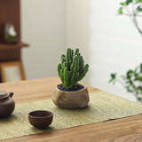 八芽盆栽万重山多肉仙人球懒人室内四季好养盆景办公室桌面小型绿植物 万重山-海岛礁石盆（陶瓷盆） 带盆栽好