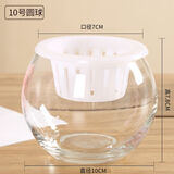 以琛水培植物玻璃瓶 绿萝花瓶花盆玻璃圆球水养鱼缸器皿容器送定制栏 10圆球