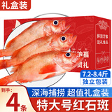 朵芙 海参斑鱼 多规格 红鱼净重 红石斑鱼大眼鱼富贵鱼深海鱼生鲜鱼类 【精选送礼】2斤*4条