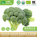 有机汇有机西兰花 花椰菜西蓝花轻食健身宝宝辅食有机蔬菜 无农残新鲜采 500g