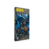 蝙蝠侠 无主之地2