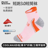 ALPINT MOUNTAIN埃尔蒙特CoolMax马拉松专业跑步袜女款登山袜徒步袜短筒运动袜子