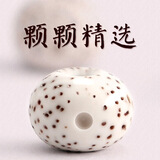 沐玛 文玩星月菩提手串男女手链项链108颗手把件海南原籽正月顺白高密素珠藏式阴皮老陈籽佛珠念珠礼物 海南琼珠料A++10×8苹果珠