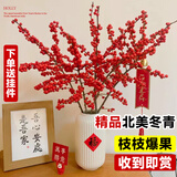 临雅北美冬青红果鲜花切枝鲜切花水培水养绿植室内年宵花卉真花好养活 【旗舰款】北美冬青-60cm5支+挂件