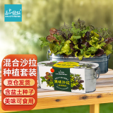 IAM City Farmer美味沙拉菜DIY种植趣味盆栽 阳台种植可食用果蔬种子健康好种易活