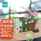 IAM City Farmer大花满天星 可降解花盆环保盆栽 春种易开花 儿童种植小盆栽10051