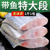 带鱼段无冰冷冻带鱼段冻品整箱东海小眼带鱼中段新货 无冰带鱼段500g*5袋