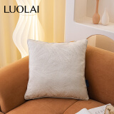 罗莱（LUOLAI）抱枕靠垫含芯 现代低奢靠枕沙发床头座椅腰枕可拆洗 流星浅米白