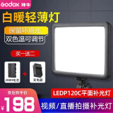 神牛（Godox） P120C-P260C LED补光灯平板摄影灯直播网红主播灯可调色温摄像灯柔光灯美食婚庆打光摄像补光灯 【1】P120C补光灯+2000电池+充电器