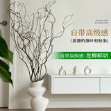 临雅水培植物龙柳鲜枝切花水养侘寂风绿植南天竹雪柳干枝室内吊钟盆栽 精选龙柳【1.5米高】10支+赠2枝