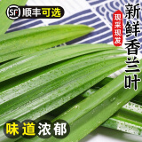 斑斓叶新鲜食用香兰叶班兰叶顺丰快递500g蛋糕千层芒果糯米饭 250g 【顺丰直达】