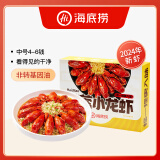 海底捞蒜蓉小龙虾750g/盒 2024年新虾中号4-6钱/只 净虾500g加热即食