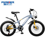 永久（FOREVER）儿童自行车青少年变速山地车6-10-15岁超轻便车学生单车22寸7速