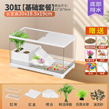 添悦乌龟饲养缸家用带晒台爬台养龟专用箱客厅生态造景塑料小鱼缸耐摔 【中号】+晒台+绿植