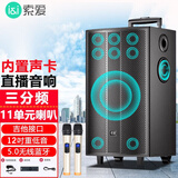 索爱X28广场舞音响户外大音量拉杆蓝牙音箱木质重低音K歌无线麦克风话筒室外乐器吉他专业演出音响 12寸（11喇叭T30）+2支话筒