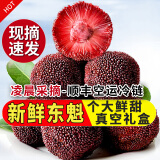秒时鲜特甜现摘东魁杨梅特大果礼盒浮宫当季杨梅新鲜水果/仙居东魁杨梅 现采尝鲜 |5斤提篮礼盒装