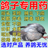 石佳康牧鸽子专用药大全鸽药拉稀绿便水便歪头药鸽子常见病鸽瘟新城疫 1瓶【体验装】