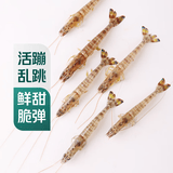 鲜活基围虾（斑节虾）350g/份（40-55只/500g）