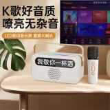 雅兰仕（EARISE）无线蓝牙音响便携式音响一体带话筒K歌音箱家庭KTV自带声卡无线家用卡拉ok户外 Y8单麦米色