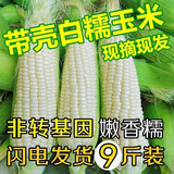 顾果鲜广西白糯牛奶玉米9斤新鲜现摘黏粘棒子带皮生苞米甜嫩农家自种 9斤