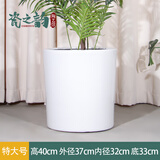 大号特大号高筒陶瓷花盆发财树天堂鸟大口径30以上绿植大花盆 白色直筒低腰（特大号）