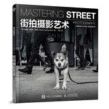 街拍摄影艺术 人民邮电出版社 摄影艺术技法教程 新华正版书籍