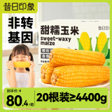 昔日印象黄糯玉米220g*20根 鲜甜即食非转基因粘玉米粗杂粮早餐4.4kg