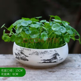 意轩铜钱草水培盆栽室内室外花卉金钱草绿植吸绿植花草植物 铜钱草+山河壮丽陶瓷盆