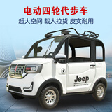 萍范新能源电动汽车四轮车成人油电两用全封闭家用电瓶轿车老年代步车 车用保险年费一年