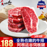 小试牛（XIAOSHINIU） 阿根廷进口谷饲板腱牛排 原切雪花牛扒 牡蛎肉生鲜冷冻牛肉 板腱牛排【1000g】