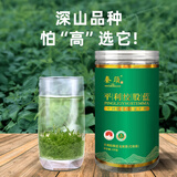 平利绞股蓝绞股蓝七叶龙须茶平利2025新茶野山苦味陕西养生茶特产配枸杞送人 125g*1罐