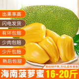 禧友鲜 海南菠萝蜜整个 黄肉干苞 波罗密 大树木菠萝 三亚当季新鲜水果 16-20斤（品质家庭装中果）