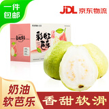 京鲜生树熟软糯奶油芭乐 净重5斤装单果150g+ 番石榴 源头直发包邮