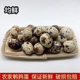 均鲜 新鲜生鹌鹑蛋 农家特产孕妇宝宝营养小零食可卤鹌鹑蛋 100枚 1200g 左右鹌鹑蛋