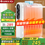 格力（GREE）取暖器电油汀家用电暖器片13片加宽油丁防烫电暖气片NDY19-X6021