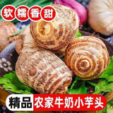 正宗云南牛奶小芋头新鲜红芽毛芋头当季芋艿香芋现挖现发3批发5斤 9斤 小果30-50g(乒乓球大小)