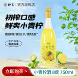 珅玉小青柠酒低度女士微醺果酒少女甜酒低温发酵送礼聚会 8度青柠酒750ml单瓶装