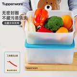 特百惠（Tupperware）保鲜盒  5.7升大容量雪影冷冻盒冰箱冷冻保鲜盒加大存储盒 5.7升冷冻盒两件套