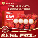 沐小七果蔬【EMS顺丰速运-可送货上门】海南保亭特大果红毛丹 5斤装 毛荔枝 3斤【尝鲜装-较划算】净2斤 礼盒+保温箱+冰袋保鲜