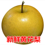 【顺丰】湖北百里洲黄花梨砂梨现摘新鲜脆甜雪梨子沙梨翠冠梨 顺丰快递 5斤