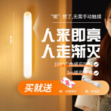 博朗尔充电人体感应灯带起夜小夜灯卧室床头灯宿舍磁吸酷毙灯氛围夜光灯