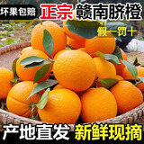 粤迎江西赣南脐橙子特产正宗手剥当季橙子新鲜水果高山脐橙当季水果 5斤精选果【香甜多汁】净4.5斤