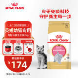 皇家猫粮 英短幼猫粮 BSK38 通用粮 4-12月 2KG