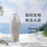 资生堂专业美发（SHISEIDO PROFESSIONAL）芯护理道头皮生机洗发水强健发根发质不老林升级款生机银瓶洗发露 芯头皮生机洗发露500ml新款