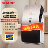 夏普空气净化器家用除甲醛无雾加湿消毒杀菌净化一体机 除雾霾异味过敏源 KC-CG605-T （顺丰包邮） KC-CG605-T