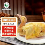 硒全食美富硒老鸽王 450g/只 冷冻 供港鸽子生鲜冷链 煲汤优选卤煮食材