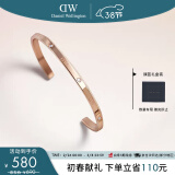 丹尼尔惠灵顿（DanielWellington）DW手镯时尚闪耀星辰手镯男情侣女神节礼物DW00400528