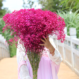 勤凯云南满天星干花大束勿忘我家居摆设清新装饰鲜花真花ins干花大束 玫红满天星 半斤【发半干】