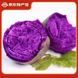 粤品新鲜番薯红薯爆皮王现挖山芋广东茂名高州冰淇淋一点红小地瓜 越小紫薯5斤 中果（单果2-6两）